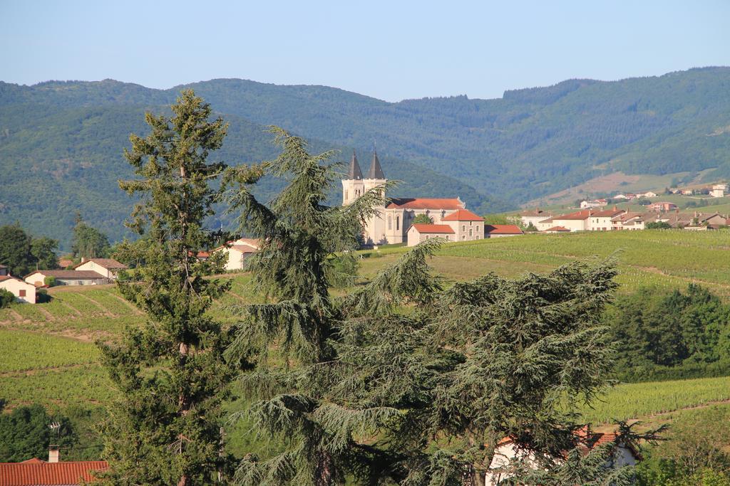 Bed and Breakfast Les Glycines - Domaine Gilles Coperet Régnié Zewnętrze zdjęcie