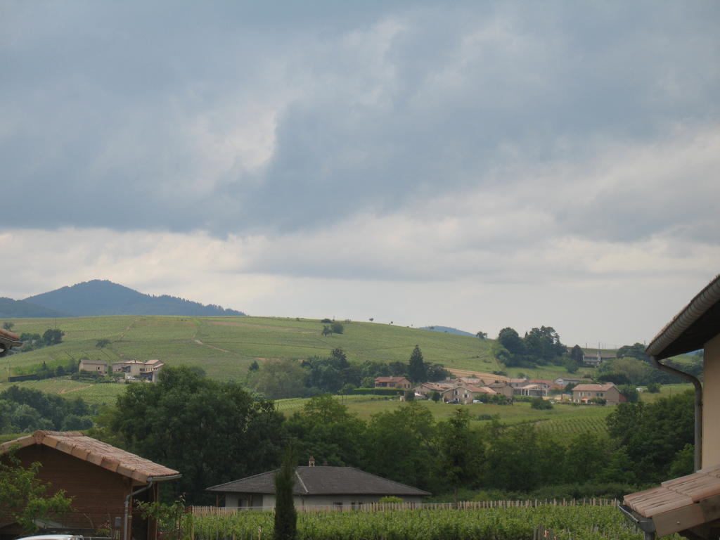 Bed and Breakfast Les Glycines - Domaine Gilles Coperet Régnié Zewnętrze zdjęcie