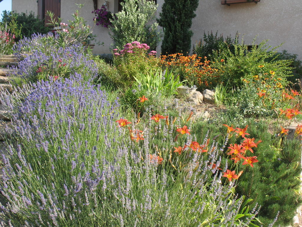 Bed and Breakfast Les Glycines - Domaine Gilles Coperet Régnié Zewnętrze zdjęcie